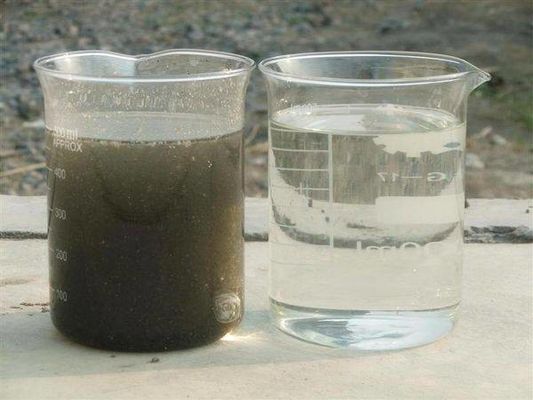 3000L/Stunde MBR MBBR A2O Biofilter zur Behandlung von Schlachtwasser