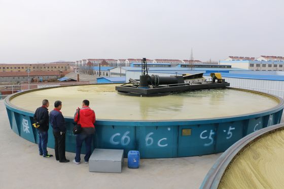 Flachluftflotationsmaschine zur Nickelplattierung Abwasserbehandlung und -leistung