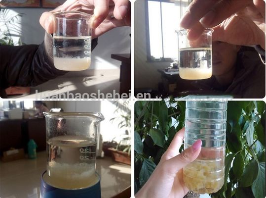 Produktivität von 5000 L/Stunde mit fortgeschrittener Luftflotationsmaschine